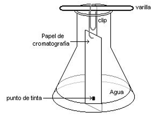 QUÍMICA